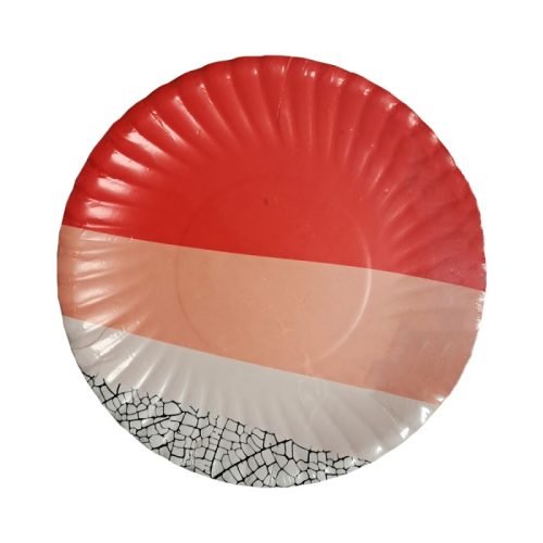 Plate coloured paper [Pk 10]occassion plates Sylko , LLM mauritius