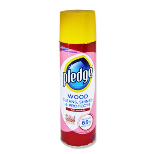 Furniture Cleaner
300ml Wood Spray
Pledge
