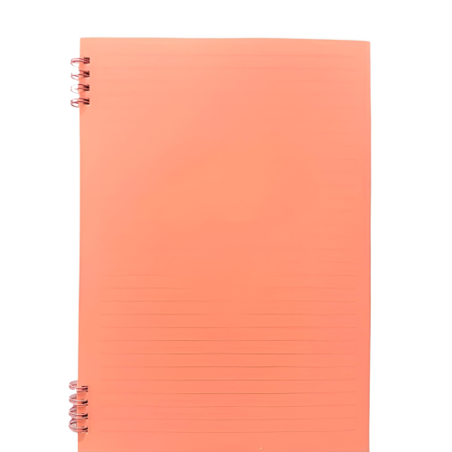 Spiral Notebook Ref 19-306
B5:60 pages
MeliMelo